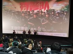-万达影城(汉街万达广场IMAX店)