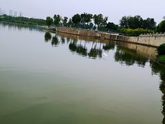 -眉山湿地公园(东坡区)