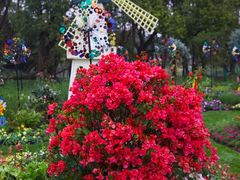 -上海共青森林公园