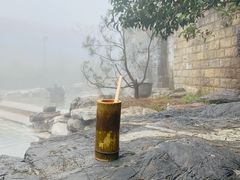 -江南天池