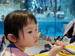 -帝企鹅自助餐厅•儿童岛•真企鹅(长隆企鹅酒店)