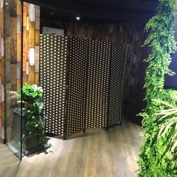 点击看大图 -藤野造型