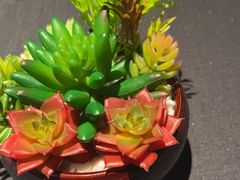 -肆月河豚·淮扬菜·湘菜(华天店)