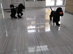 -纳吉亚猫专科动物医院(康都外科中心)