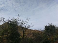 -雾灵西峰