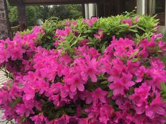 -庐山天沐温泉度假村