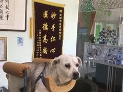 -美联众合动物医院(唯恩分院)