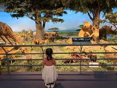 -国家自然博物馆