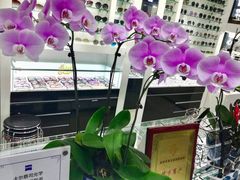 -横岗眼镜城