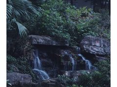 -晓港公园