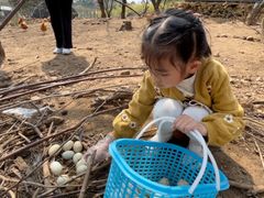 -竹上云想餐厅民宿