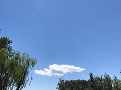-东兴顺爆肚张