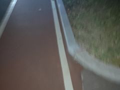 -星海公园(番禺区)
