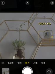 -凡碧诗毛孔收细