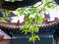 -千佛山风景名胜区