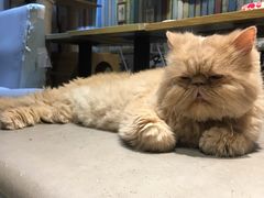 -小时光咖啡馆(开森度假森林店)
