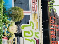 -Ohkajhu Organic Farm Sansai