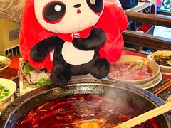 -蜀大侠火锅(总府路店)