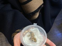 -酷以爬仙阁实体爬宠店·守宫·蜥蜴·专业繁育