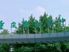 -黄桷坪涂鸦艺术街
