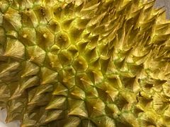 -盒马鲜生(宝地店)