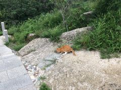 -北京凤凰岭