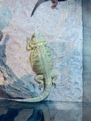 -Zoolung Zoolung动物主题公园(海信广场店)