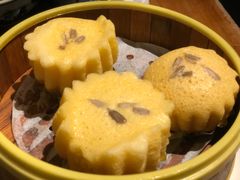 -老广酒楼(樱花店)