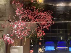 -墨宴(西洋湖店)