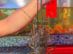 -巽寮印象美食部落餐厅·海鲜·地方特色菜(惠州体验店)