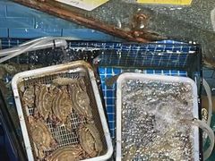 -开鑫鱼厂·宁波海鲜(前程智慧城店)