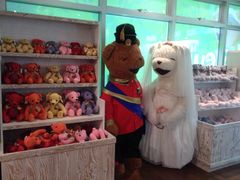 -济州岛泰迪熊博物馆