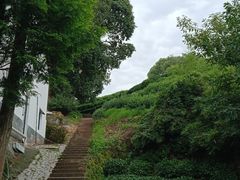 -西湖风景区十里琅珰-五云山