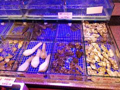 -青蓬蒸汽海鲜·深圳老字号·团建聚会(壹方城店)