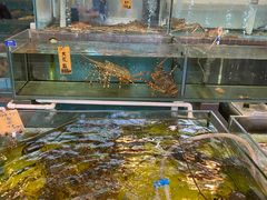 水产区-猪肉婆私房菜(容桂总店)