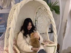 -共舞时光猫咖·狗咖(新街口店)