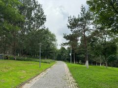 -莫子山公园