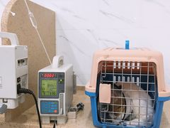 -伟伟宠物医院·CT影像中心·瑞派犬猫综合性门诊(汉口总院)