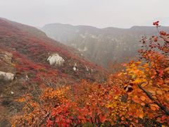 -周口店坡峰岭风景区