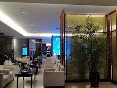 -郑州新郑国际机场T2航站楼-贵宾厅B区