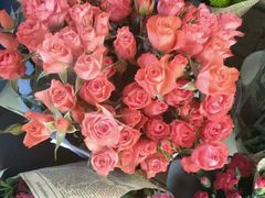 -三圣花乡旅游区