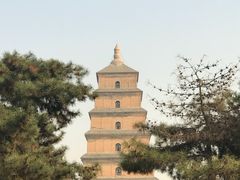 -大雁塔北广场音乐喷泉
