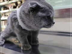 -暖阳宠物医院·犬猫康复中心·骨科