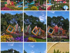 -共青国家森林公园-售票处