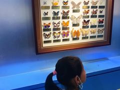 -上海昆虫博物馆