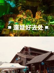 -恐龙探索乐园(磁器口店)