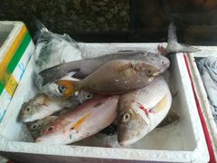 -八方海味餐厅