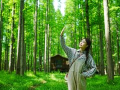 -黄海国家森林公园