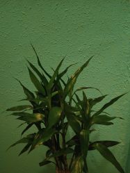 -香秀空间科技抗衰·美容中心