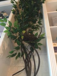 -如一·美甲美睫